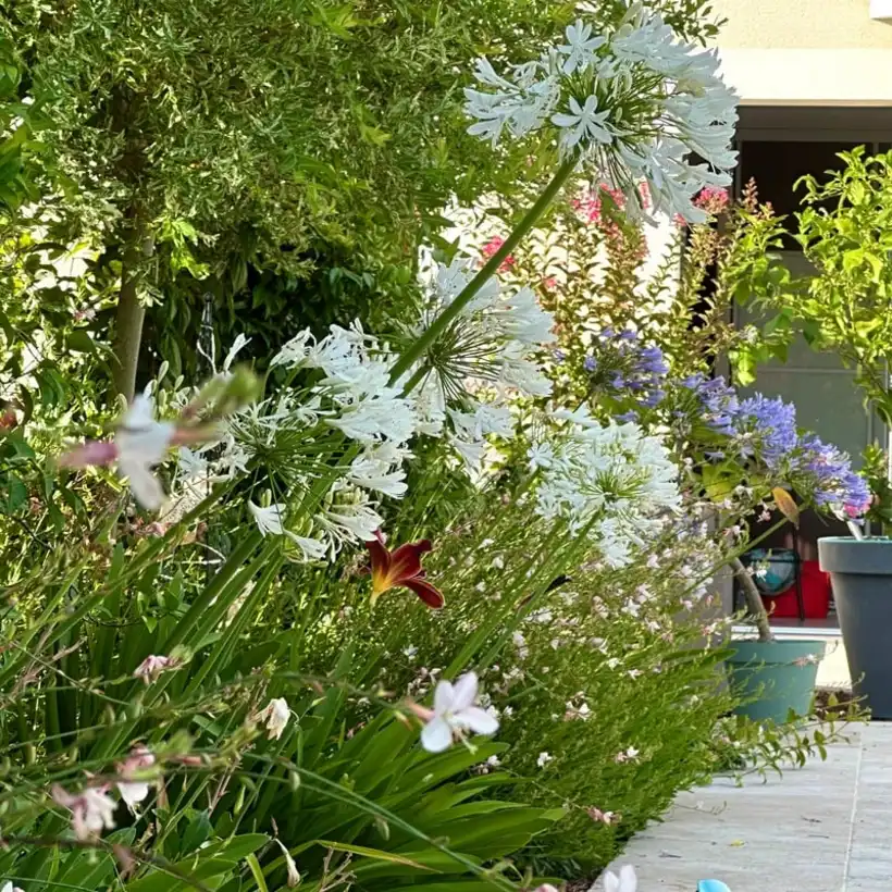 Les Closerie Vegetales Paysagiste A Blois Image 4 04