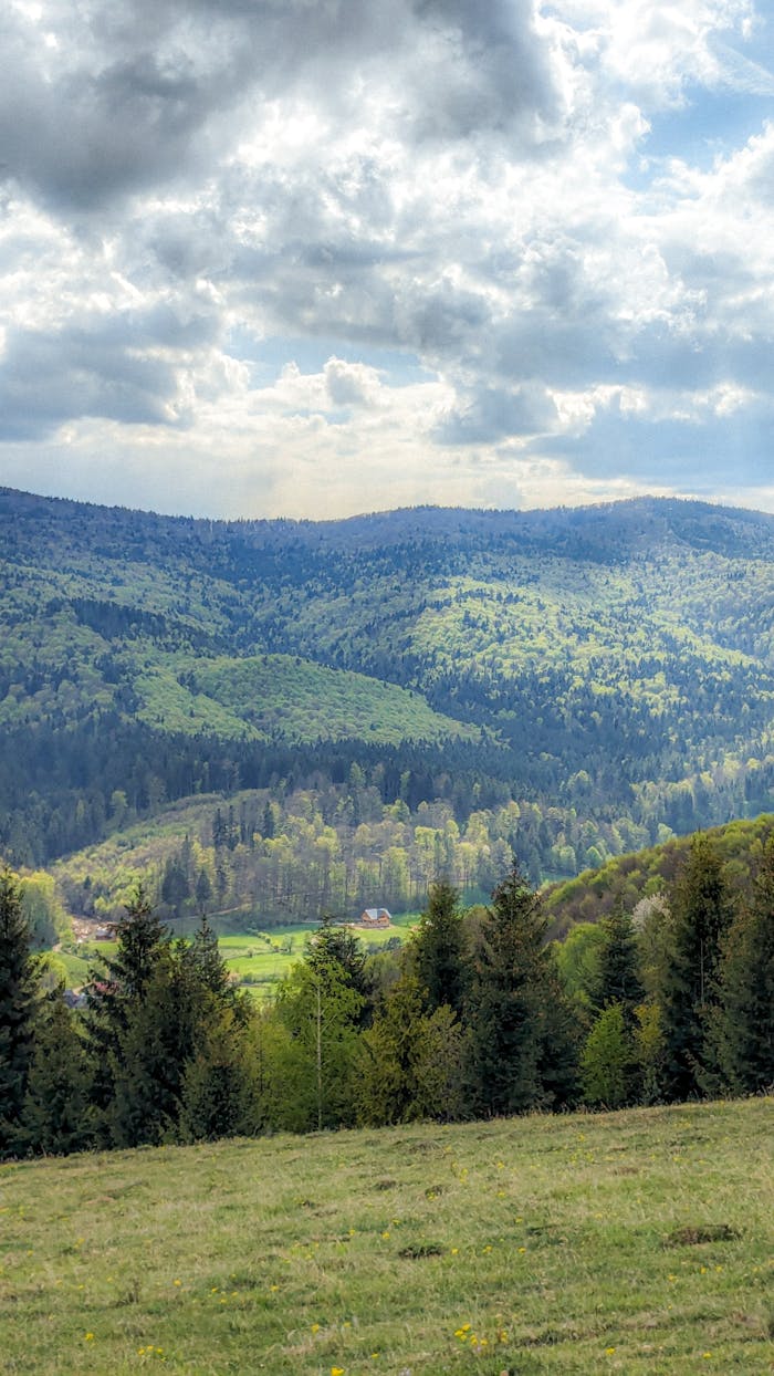 Expansive view of green mountains and dense forests under a cloudy sky, capturing natures beauty.