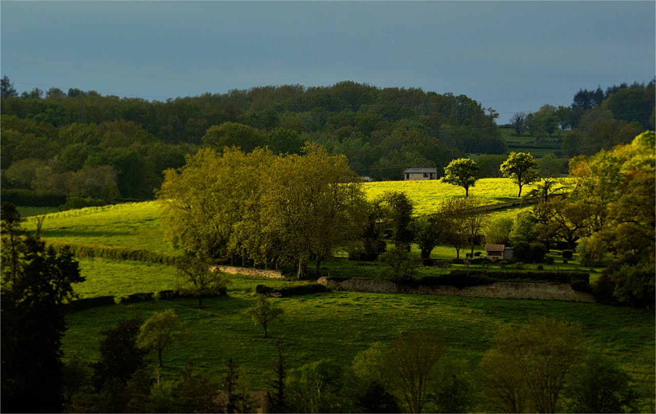 A serene landscape of a lush green countryside under dramatic lighting.